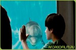 Смотреть онлайн История дельфина (2011)
