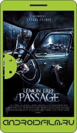 Последний поворот / Lemon Tree Passage (2015) полная версия онлайн.